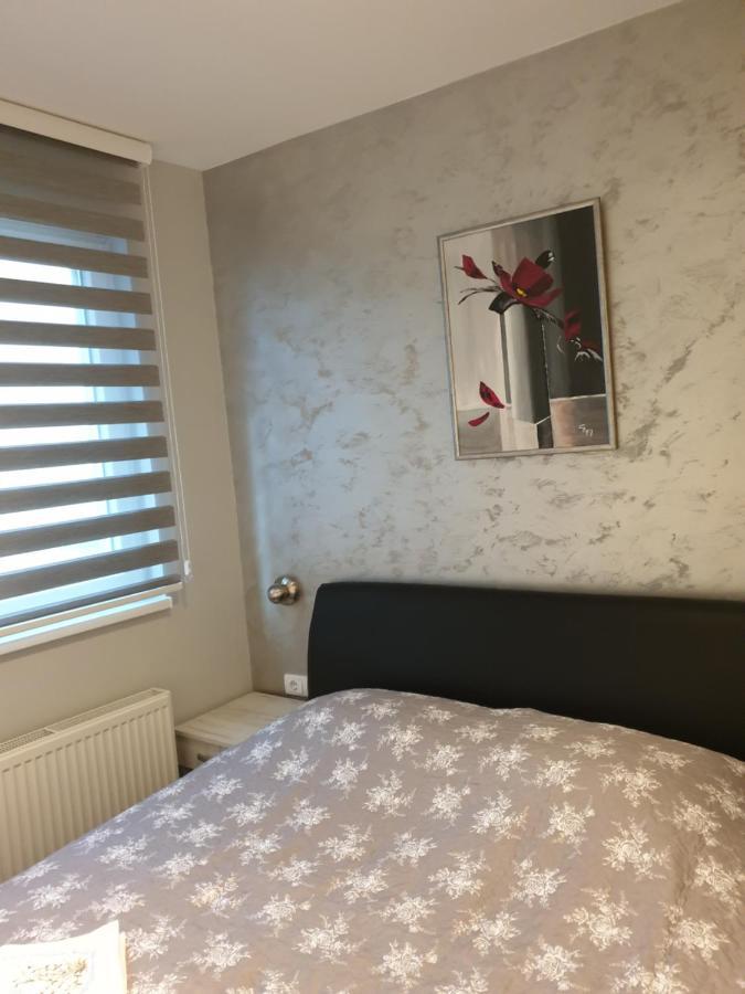 Elena Lux Apartment Užice Екстериор снимка